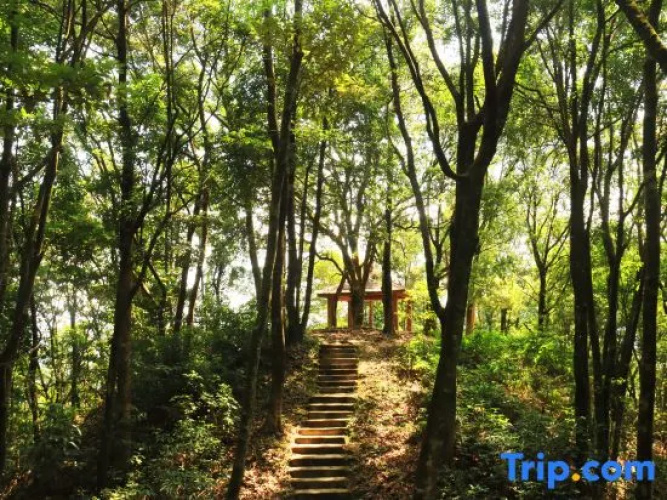 Xinfeng Utop Spring Primeval Forest Resorts