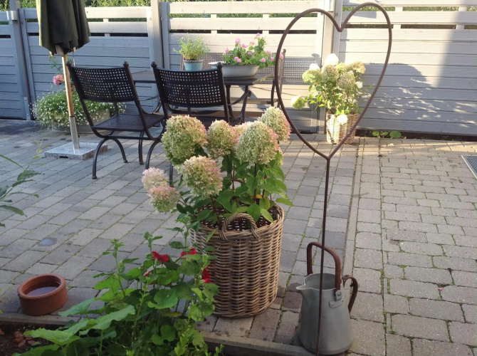 Kleine Landliebe