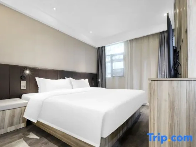 Comfort Suite