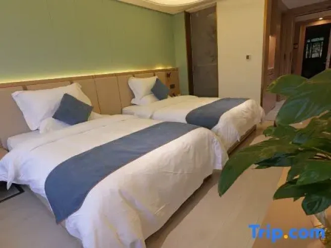 Standard Double Family room