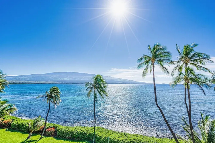 Maalaea Banyans 411