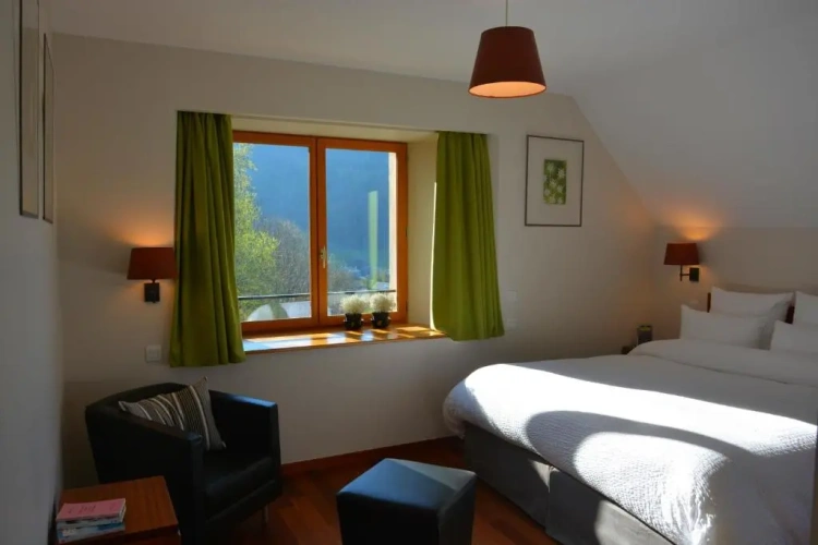 Standard Double room with garden view