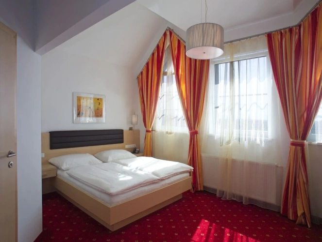 Business Double room with garden view