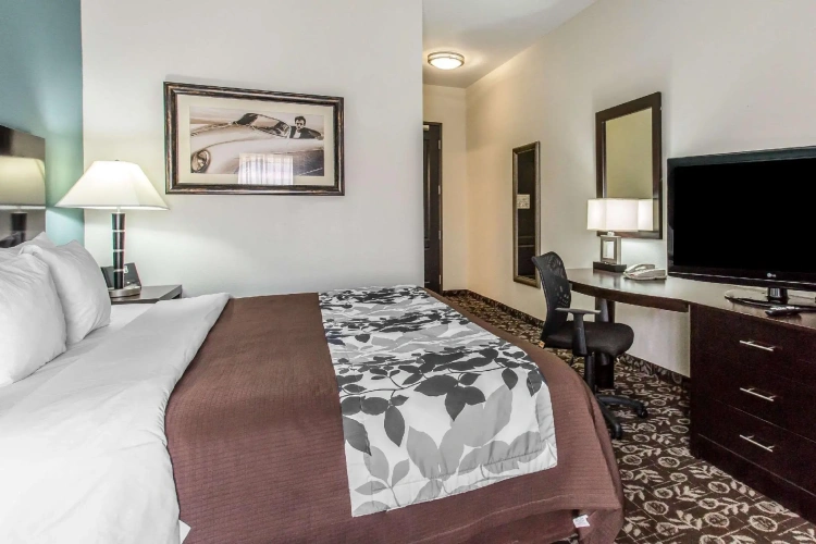 1 Bedroom Suite