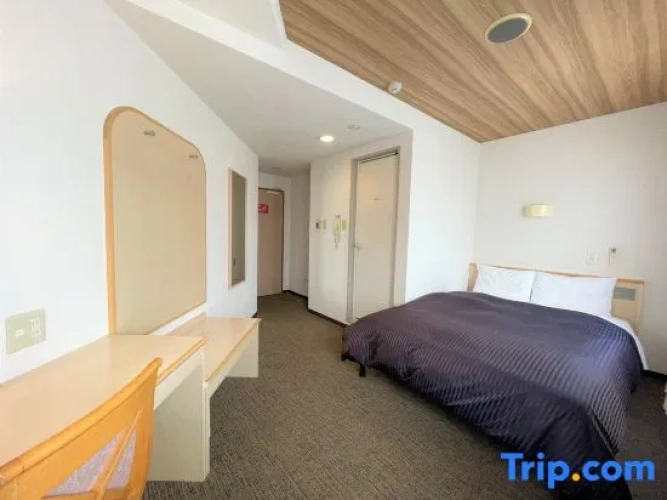 Standard Double room with city view