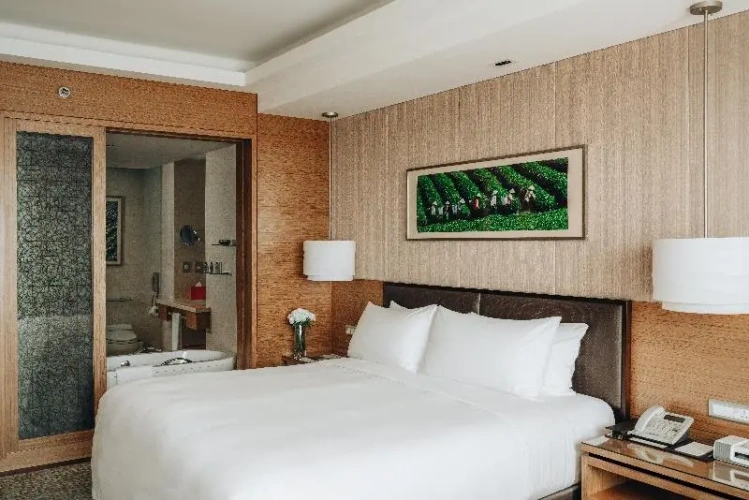 Executive Lounge Access Double room