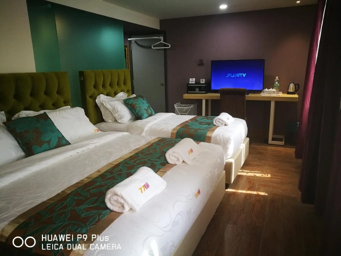 Standard Single room