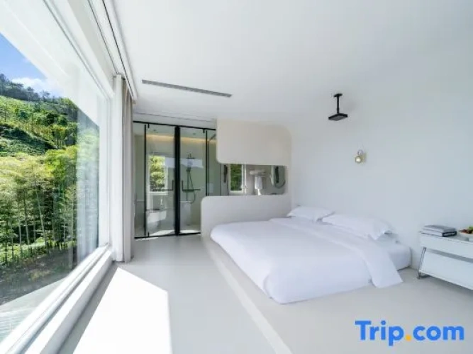 Standard Double room with mountain view