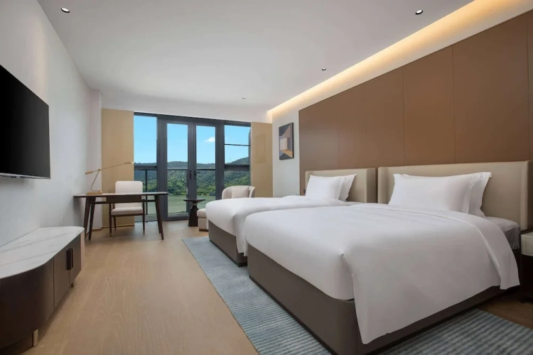 Deluxe Twin room with lake view