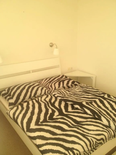 B&B Home