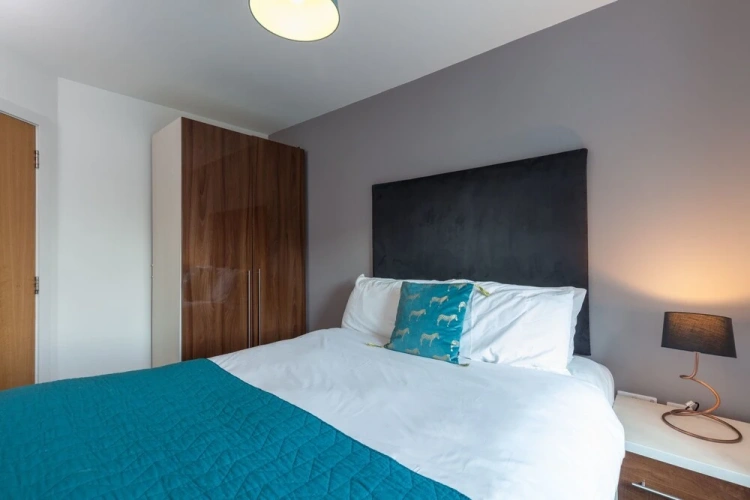 1 Bedroom Standard Apartment