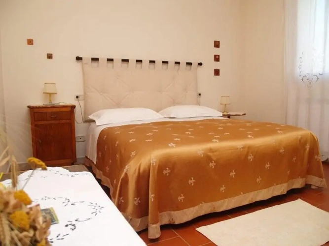 Standard Double room with garden view