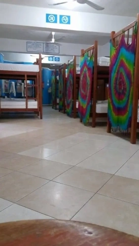 Bed in Dorm