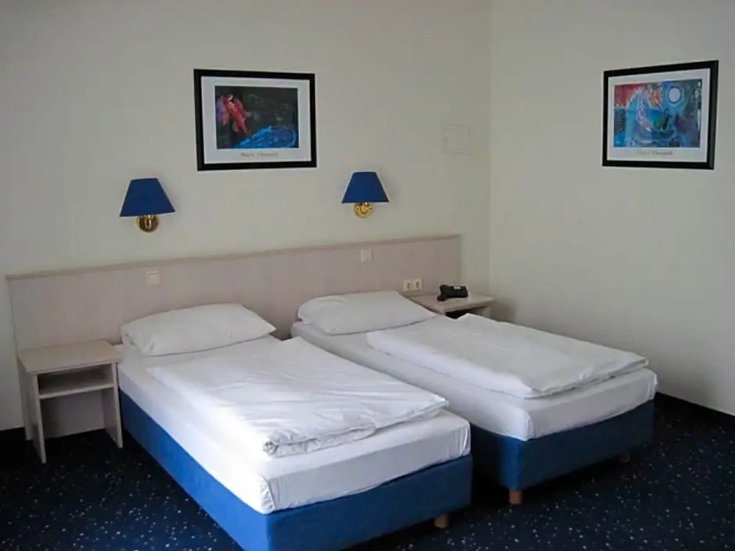 Standard Double room