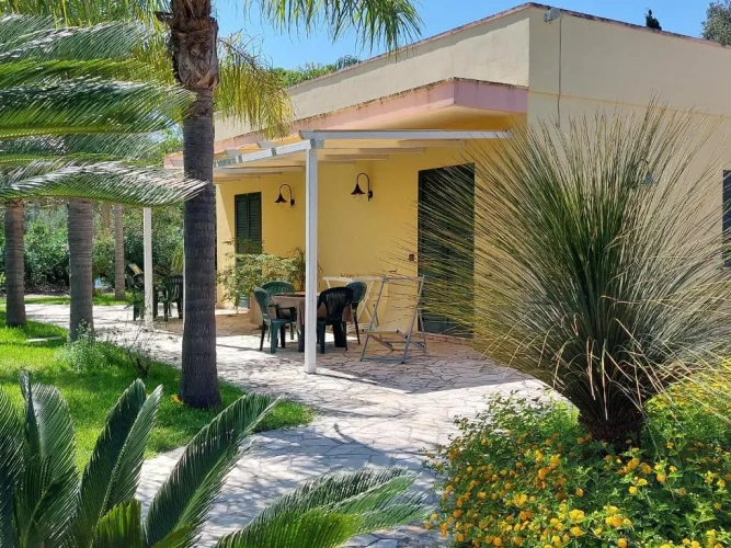1 Bedroom Superior Apartment