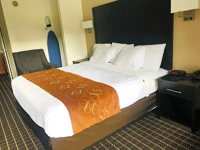 Single Suite