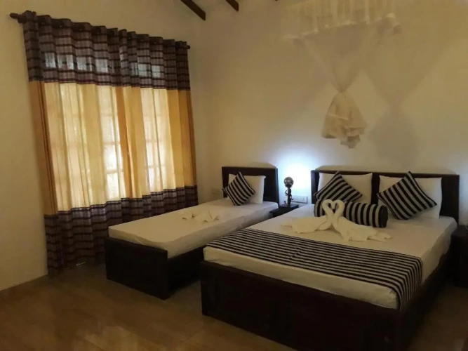 Deluxe Double room with balcony and with view