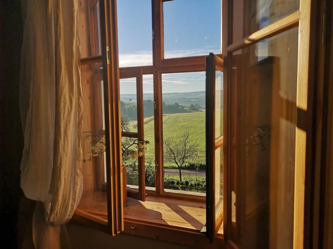 1 Bedroom Standard Double room