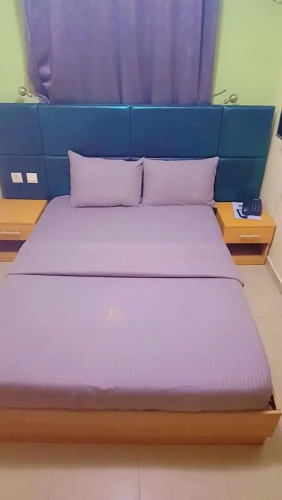 Ikad Hotel and Suite Borno Way