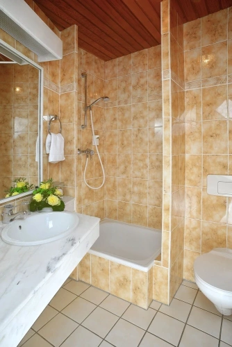 Comfort Single room