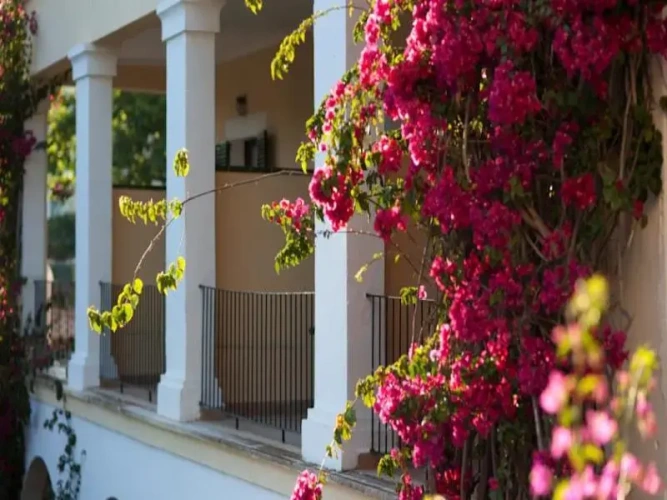 Standard Double room with balcony