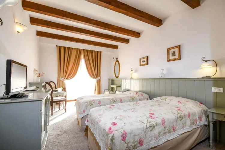 Standard Double room with balcony and with view