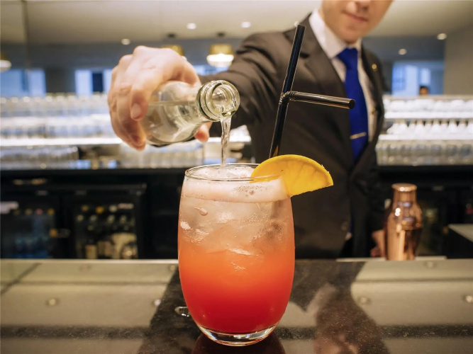Sofitel London Gatwick photo 13