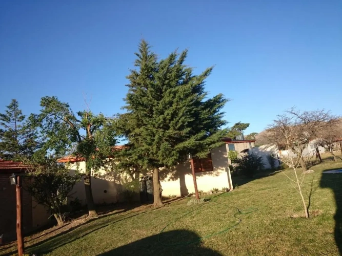Bungalow
