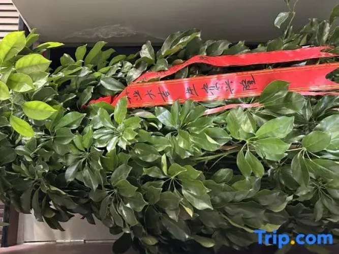 Yicheng Yining Hotel (Wanrong Plaza, Yining Development Zone)
