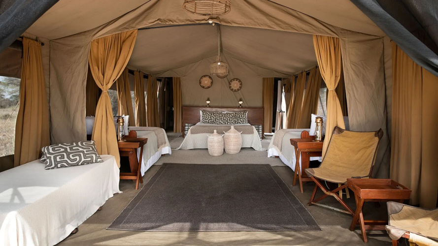 Serengeti Sojourn