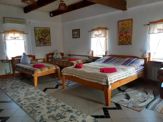 Standard Family room with garden view