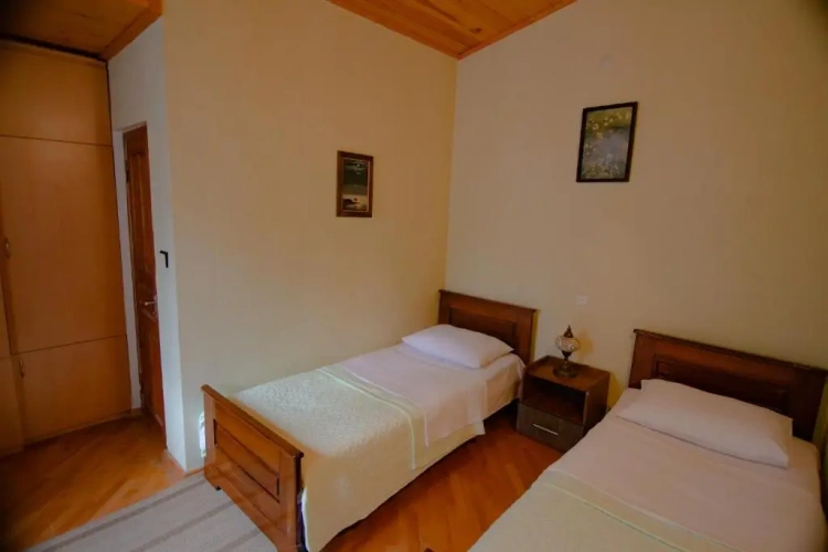 Standard Twin room with balcony and with view