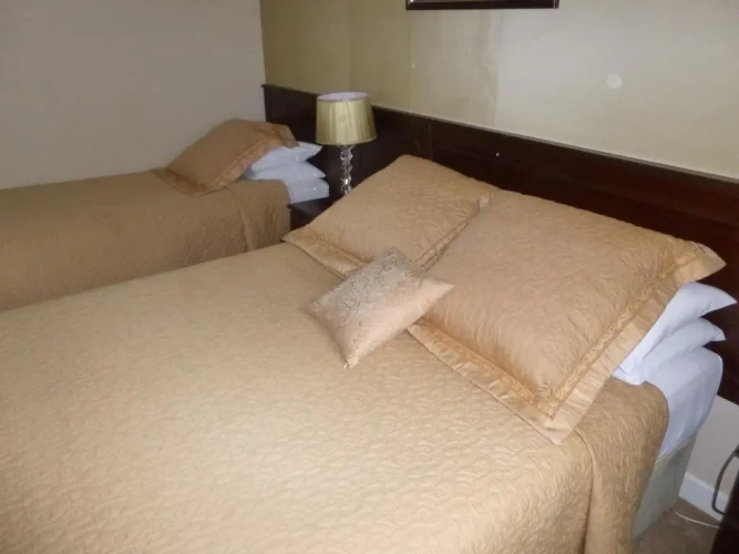 Deluxe Family room