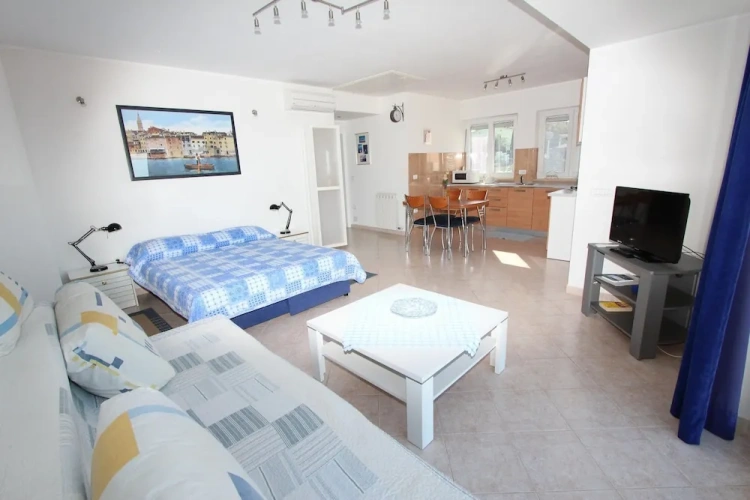 1 Bedroom Comfort Apartment