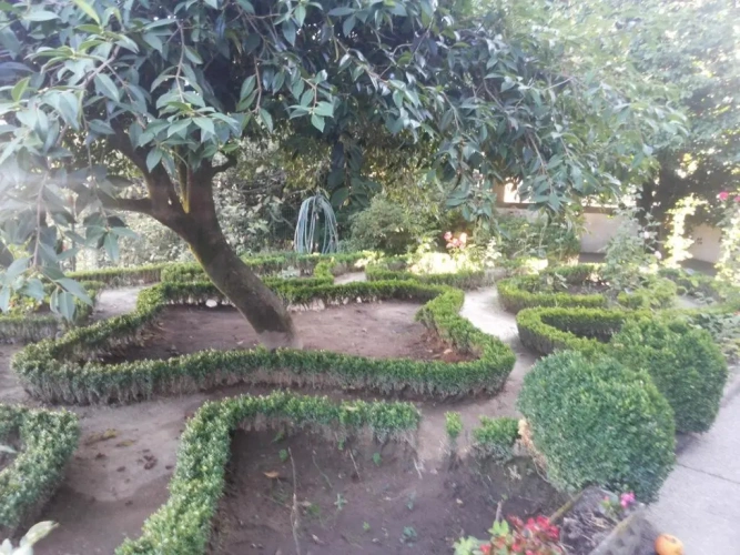 Superior Double room with garden view