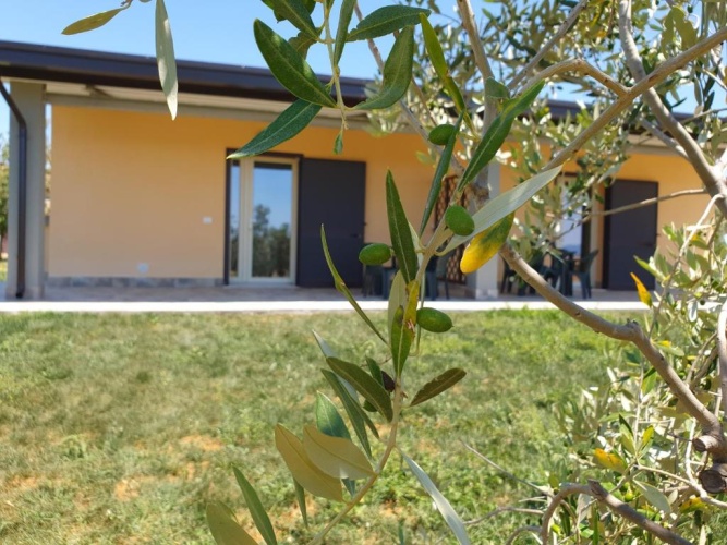 Apartment with garden view