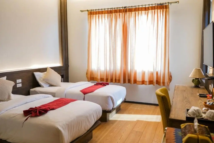 Deluxe Twin room with balcony and with view