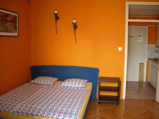 Apartments Levc