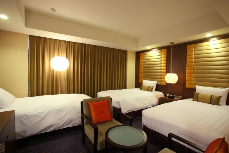 Premier Twin room with city view