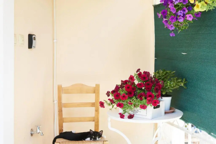 Paralia Vergas Apartments Studio