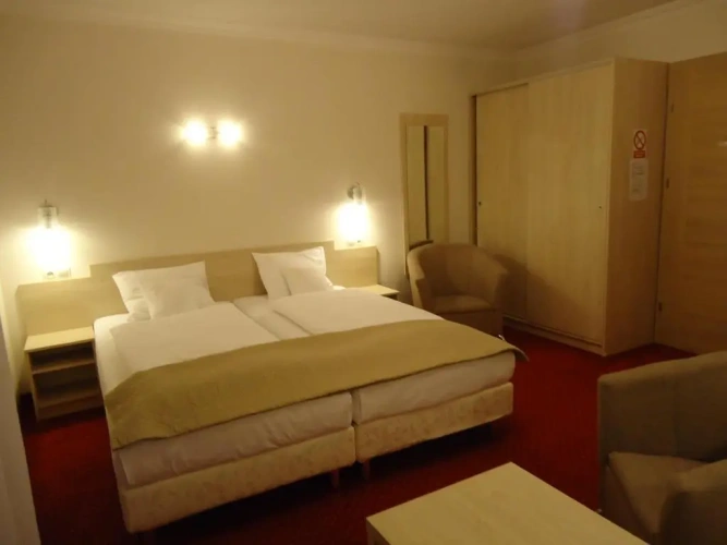 Superior Double room with balcony and with mountain view