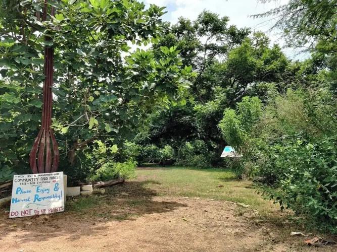 East Austin Bungalow w Bbq, Firepit, Fun Yard