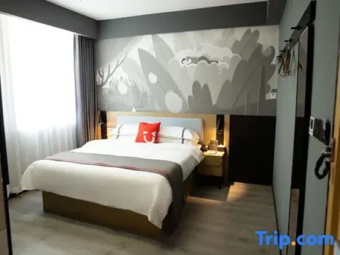 Business Double room with city view
