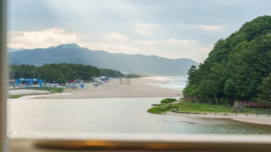 1 Bedroom Standard room with ocean view