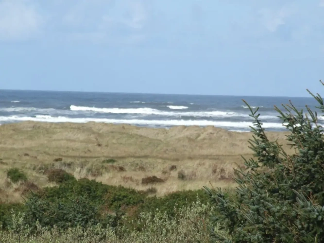 Standard Double room with partial ocean view