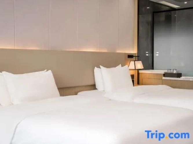 Executive Twin room