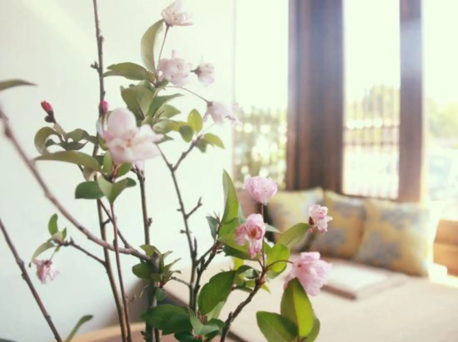 Caiwei Tea-themed homestay(采薇茶茗宿)