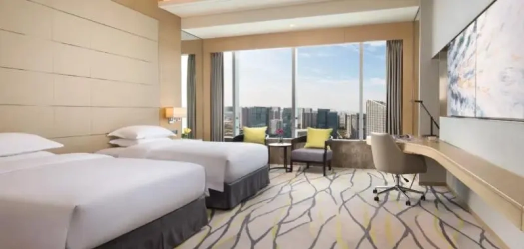 Deluxe Twin room with city view