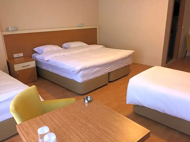 EMSA Palace Hotel