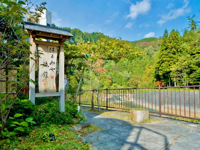 Standard room with river view